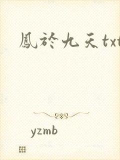 凤于九天txt