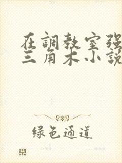 在调教室强迫坐三角木小说封面