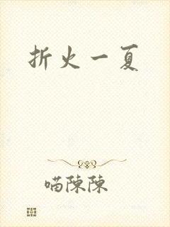 折火一夏封面