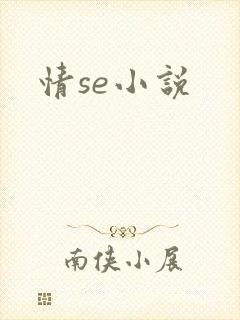 情se小说