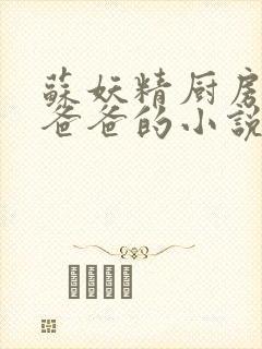 苏妖精厨房爹爹爸爸的小说