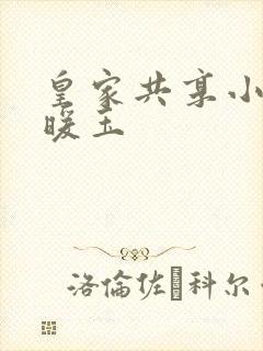 皇家共享小公主暖玉