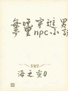每晚穿进男神的梦里npc小说