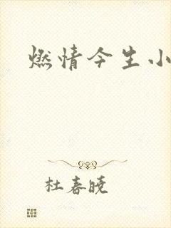 燃情今生小说封面