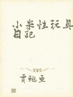 小米性玩具羞辱日记