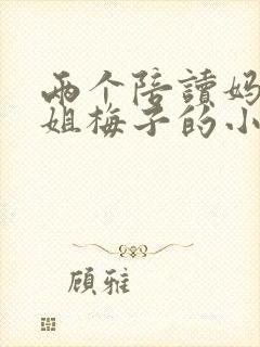 两个陪读妈妈赵姐梅子的小说