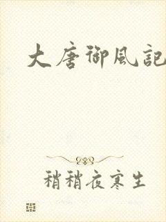 大唐御风记封面