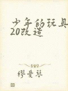 少年的玩具1一20改造封面