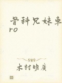 骨科兄妹车多pro