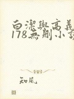 白洁与高义1～178无删小说封面