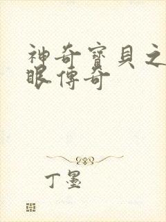 神奇宝贝之写轮眼传奇封面