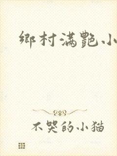 乡村满艳小说封面