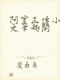 阿宾正传小说全文笔趣阁