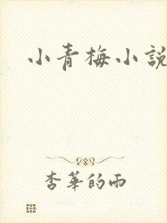 小青梅小说