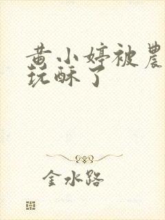 黄小婷被农民工玩酥了