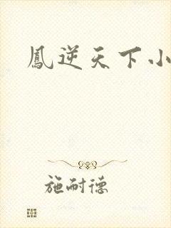 凤逆天下小说封面