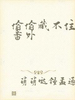 偷偷藏不住新婚番外封面