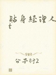 贴身经理人txt封面