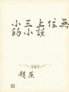 小三上位无三观的小说