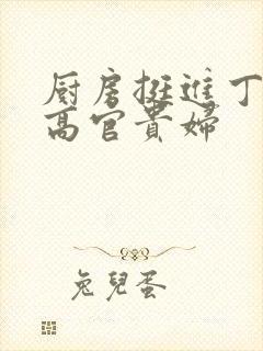 厨房挺进丁字裤高官贵妇