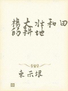 杨大壮和田桂花的耕地