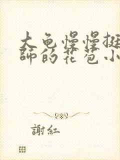 大龟慢慢挺进老师的花苞小说封面