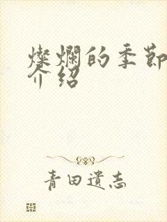 灿烂的季节剧情介绍