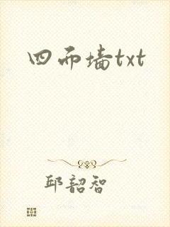 四面墙txt