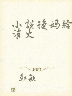 小说后妈给我消消火