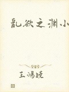 乱欲之渊小说封面