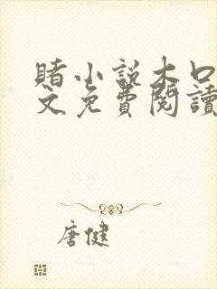 赌小说木口银全文免费阅读笔趣阁