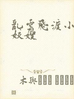 乱云飞渡小说之姣嫂