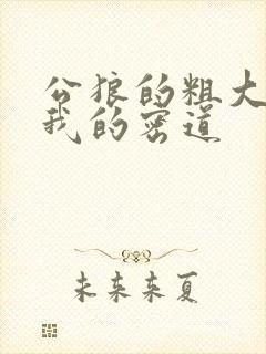 公狼的粗大挺进我的密道