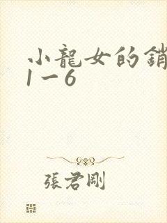小龙女的销魂夜1一6封面