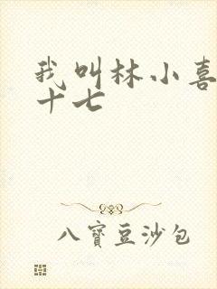 我叫林小喜今年十七