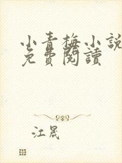 小青梅小说全文免费阅读