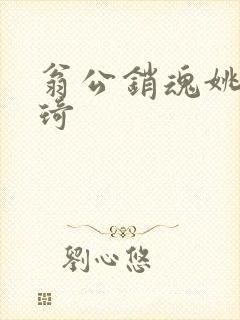 翁公销魂姚瑶琦琦封面