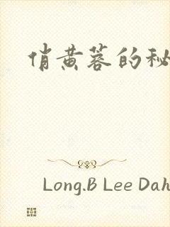 俏黄蓉的秘密封面