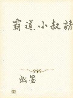 霸道小叔请轻撩封面