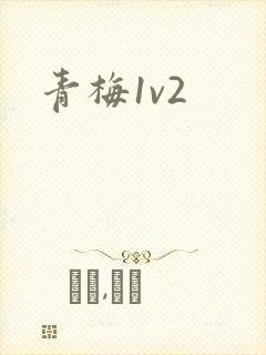 青梅1v2