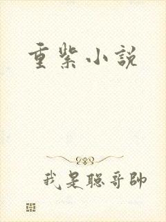 重紫小说封面