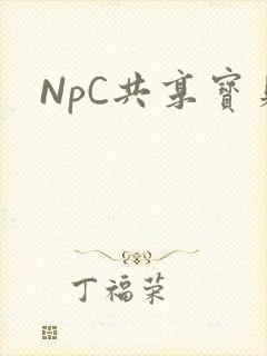 NpC共享宝贝
