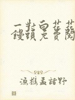 一对白花花的大馒头免费阅读封面