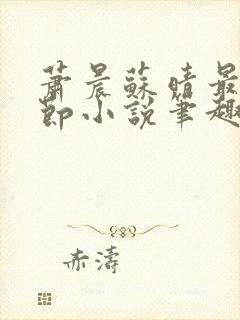 萧晨苏晴最新章节小说笔趣阁