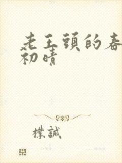 老王头的春天林初晴封面