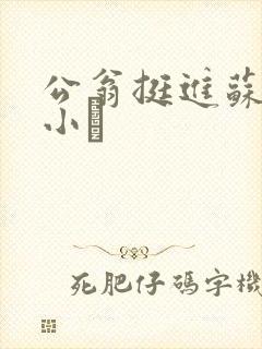 公翁挺进苏玥的小泬
