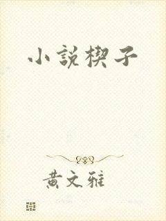 小说楔子