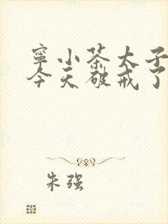 宁小茶太子殿下今天破戒了吗免费阅读