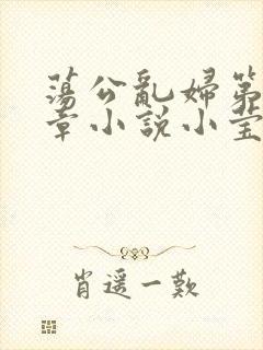 荡公乱妇第51章小说小莹封面