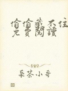 偷偷藏不住小说免费阅读